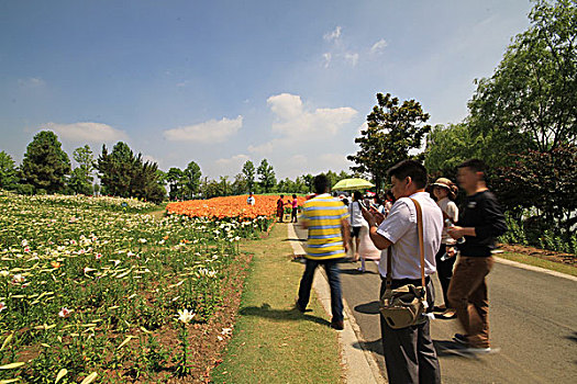 soi lô miền bắc hôm nay