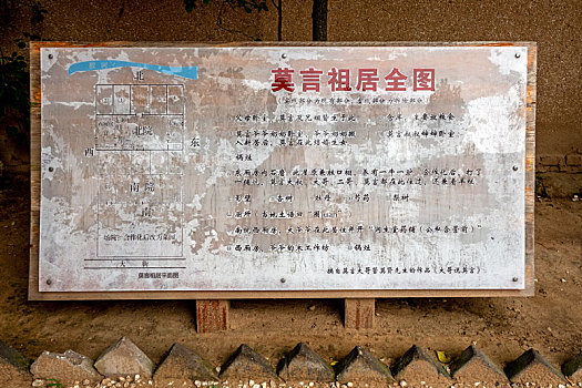 bạch thủ bình định