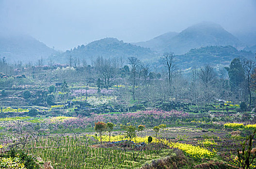 xổ so mien bac