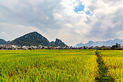 dự đoán xổ số hồ chí minh