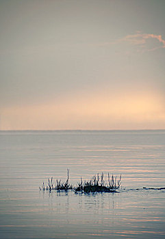 xsmn thứ 5