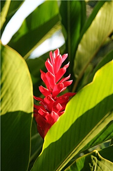 lô khung 5 ngày