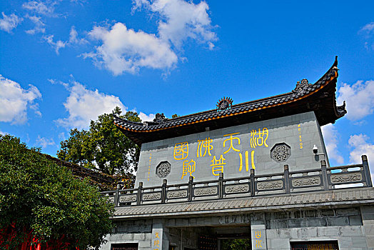 soi cau 5555