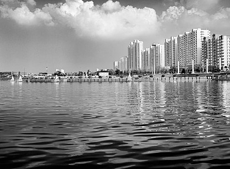 xs rong vang bach kim