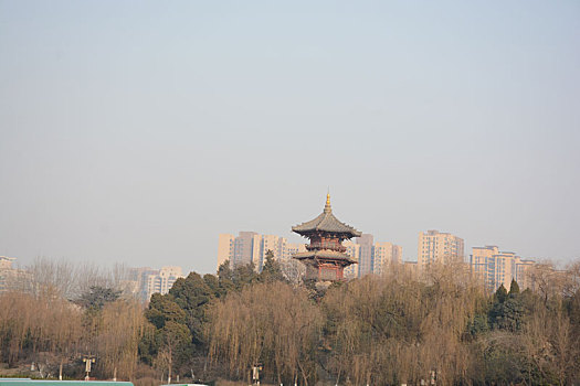 soi cau binh dinh