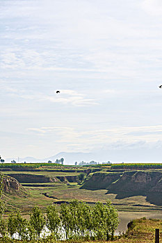 du doan xo so phu yen wap