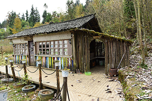 soi bạch thủ miền bắc