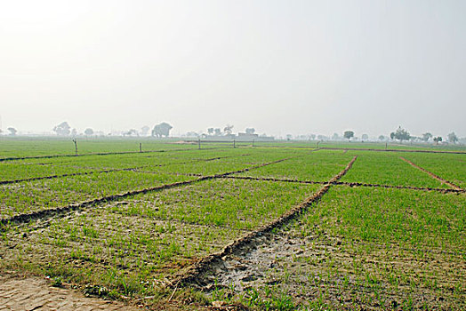 du doan xo so miễn nam