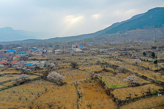 chơi đề trên mạng