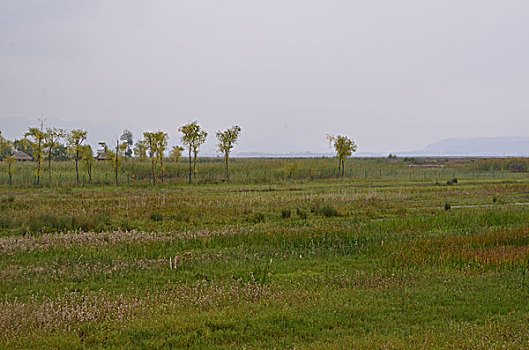 soi cầu lô chuẩn hôm nay