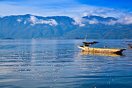 xô số hôm nay