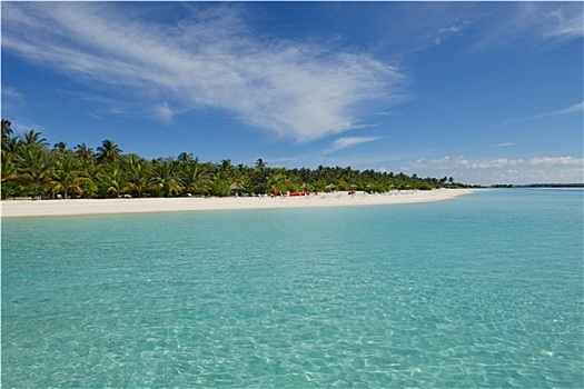 lo kep bach thu khung 3 ngay