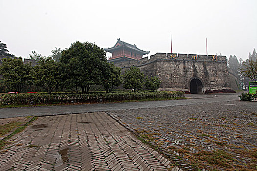 cau lo bach thu khung 3 ngay