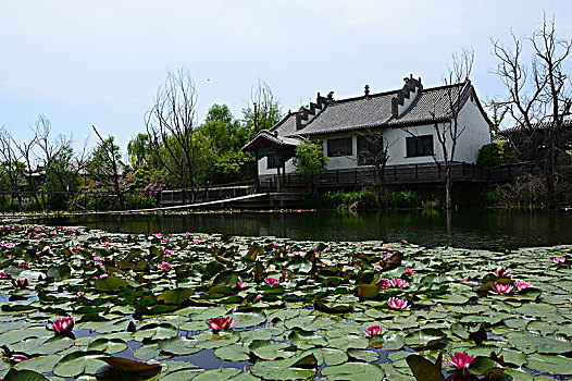 du doan xo so tay ninh sieu chuan