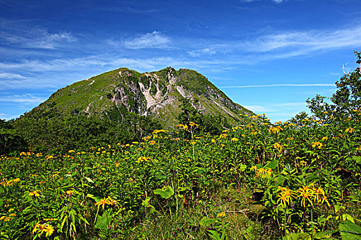 xs thu hai