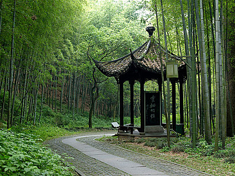 xổ số hải phòng